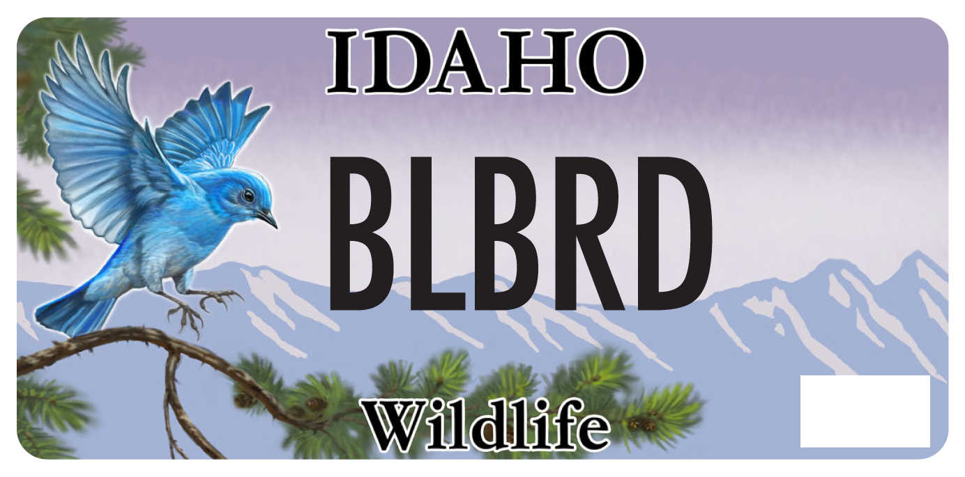 Idaho Bluebird License Plate